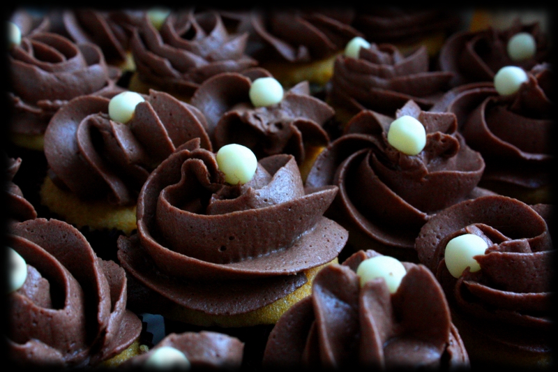 Mini cupcakes de chocolate